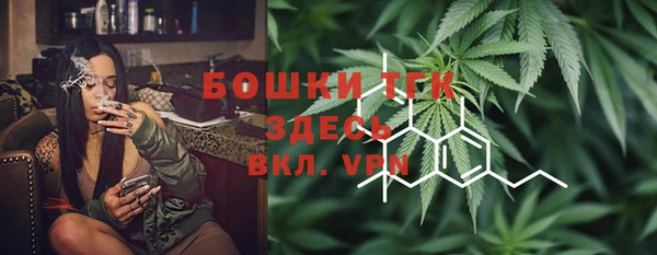 бошки Осинники
