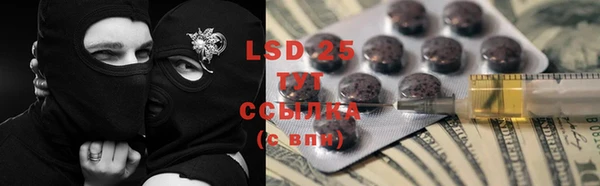 МДПВ Пересвет