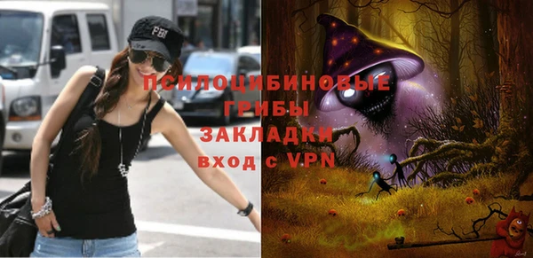 скорость Новозыбков