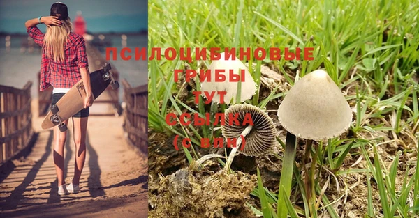а пвп мука Пестово